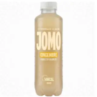  JOMO GINGEMBRE   