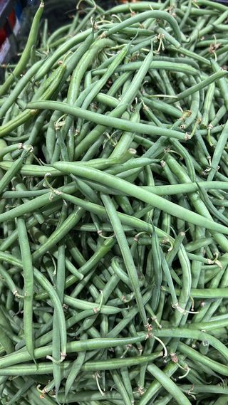 Fagiolini