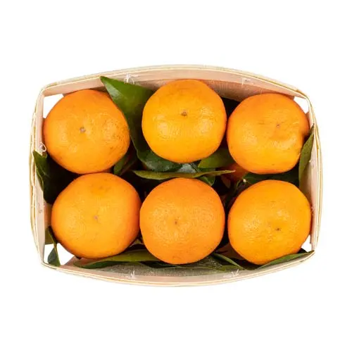 Fructe