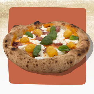 DS 10