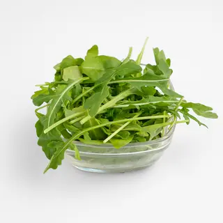 Rukola