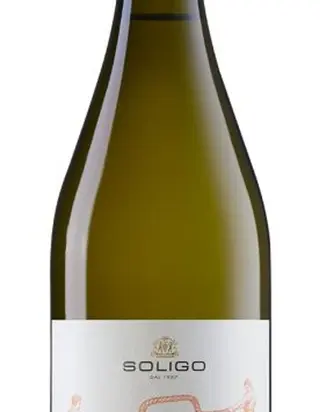 Pinot Grigio DOC delle Venezie - Bianco
