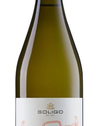 Pinot Grigio DOC delle Venezie - Bianco