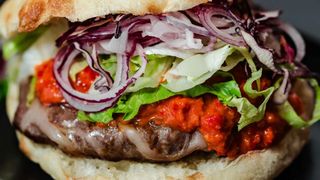 Gurmanska pljeskavica blaga