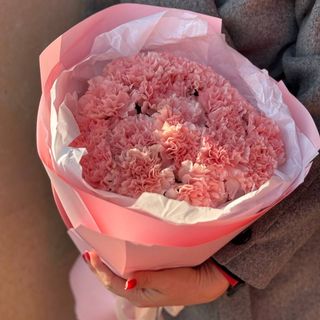 Букет из 19 гвоздик 