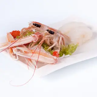 Nigiri scampi