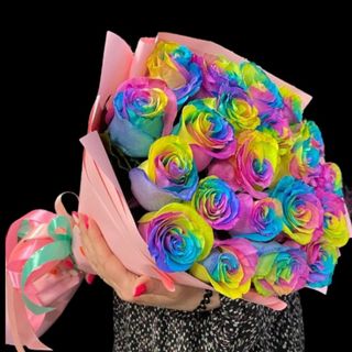 21 Trandafiri Rainbow