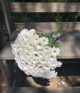 ქრიზანთემა  