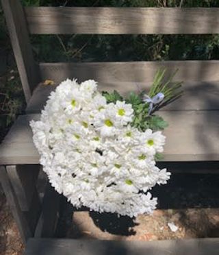 ქრიზანთემა  