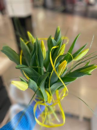 10szt - tulipan żółty