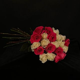 Ramo Bicolor de 21 Rosas Fucsias y Frutetto