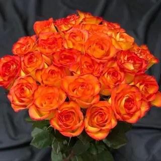 Bouquet de 15 roses orange vip