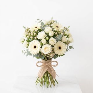 Roselline e gerbere sul bianco