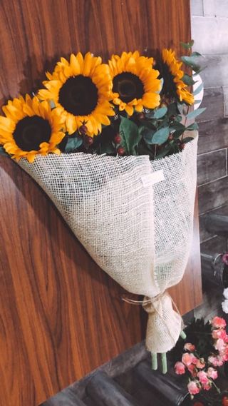 მზესუმზირა ევკალიპტი