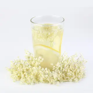 Elderflower