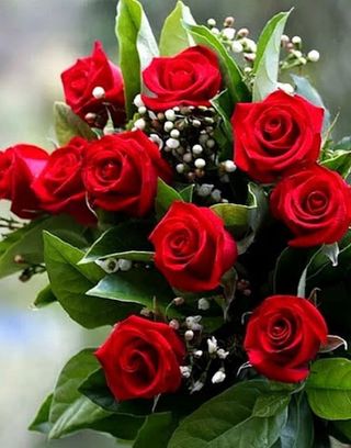 9 rose rosse  gambo lungo ben confezionate