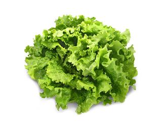 Salade Batavia Verte - Unité 