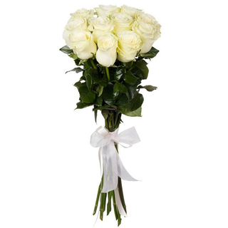 Trandafiri albi (90 cm) Olanda