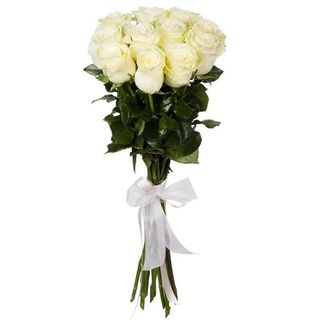 Trandafiri albi (90 cm) Olanda