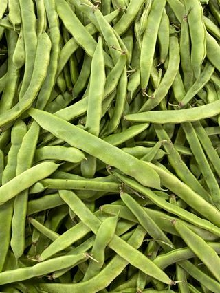 Judía Verde (1Kg. Aprox.)