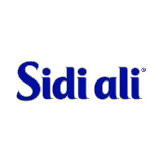 Sidi ali