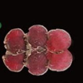 78. Tataki De Ternera