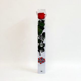 Una Rosa Roja Preservada