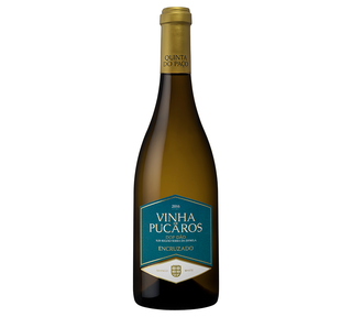 Vinha de Púcaros Branco