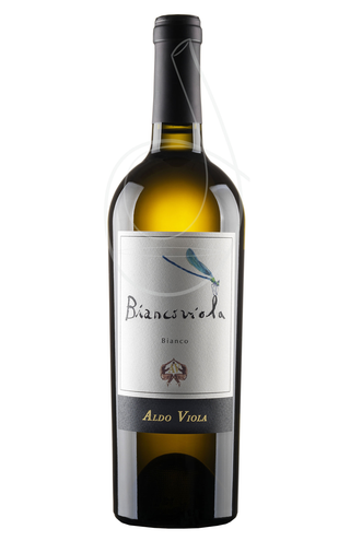 Aldo viola bianco Viola - Grillo