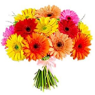 Mix kolorowych Gerberów