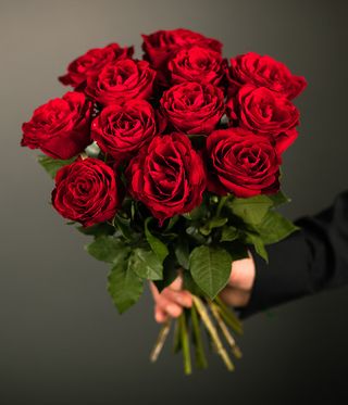 12 rose rosse