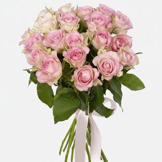 21 троянда Lovely Jewel (Кенія)