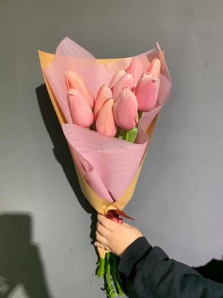 ღია ვარდისფერი , ჰოლანდიური ტიტები 10 ტოტი