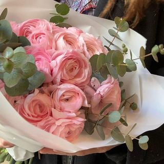 Marshmallows Ranunculus 