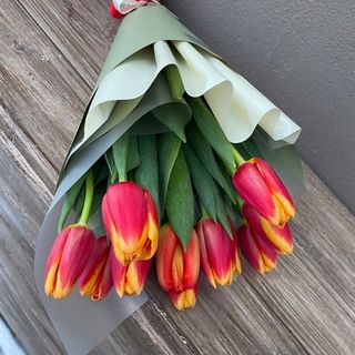 11 lalele rosii/galbene