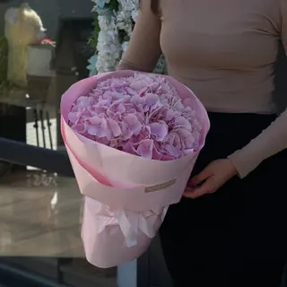 5 рожевих гортензій
