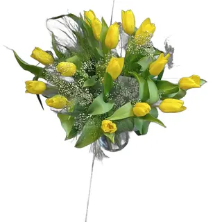 Pan tulipan 