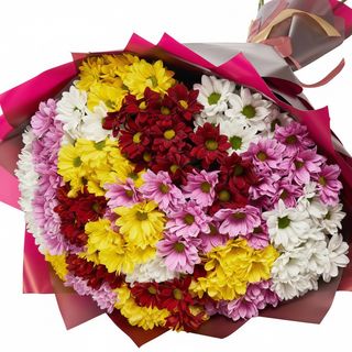 25 різнокольорових хризантем!