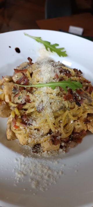 Boletus satanas 520 g