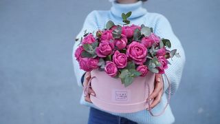 ჰოლანდიური ჯუჯა ვარდი ყუთში 