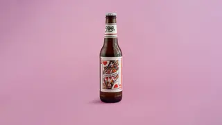 Pivo Dama