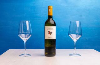 Falanghina La Sibilla 2022