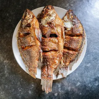Catfish