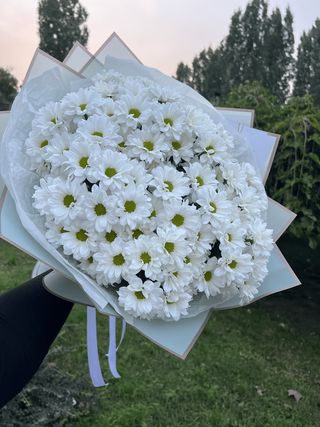 11 хризантем 