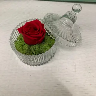 Gioia Rossa 