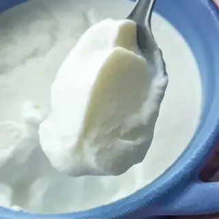 PLAIN DAHI
