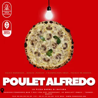  Poulet   Alfredo LARGE   