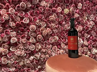 Aglianico Moio 75 cl