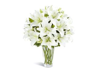 19 Лилиума, бели | 1 pieces