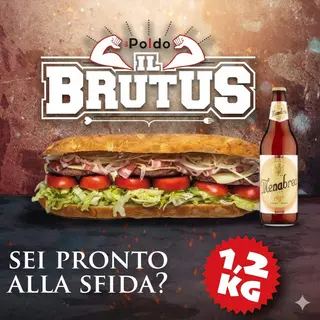 Combo Brutus